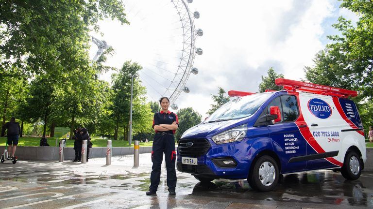 Pimlico: Trusted by London for over 40 years