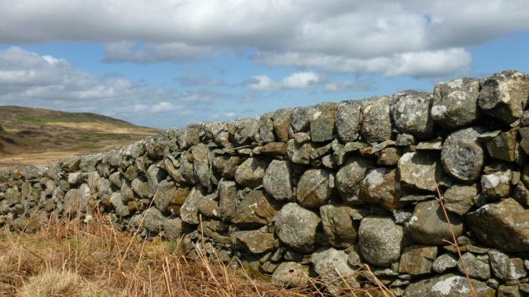 DSWA: Protecting dry stone walling for future generations