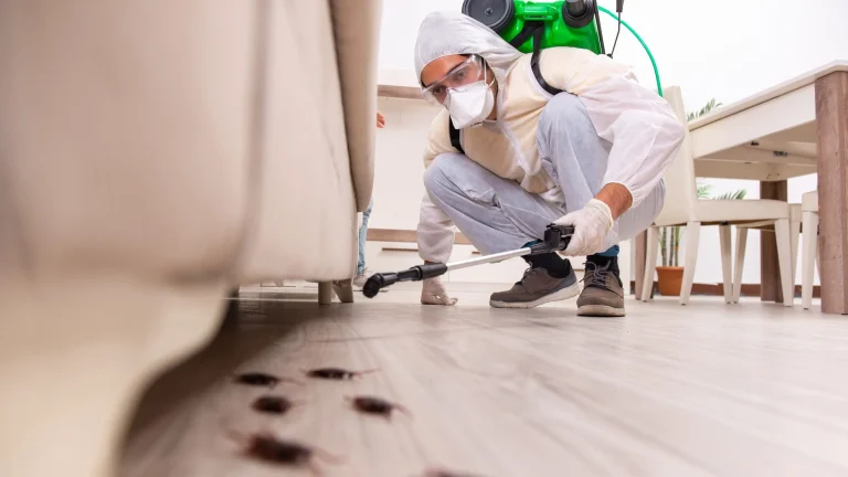 Pest & Vermin Control Insurance