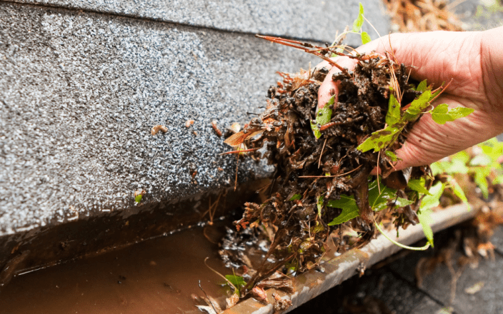 Gutter Cleaning Insurance